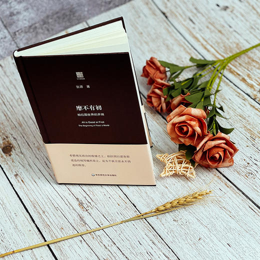 靡不有初 柏拉图世界的开端 六点评论 张源 人文哲学 精装 商品图2