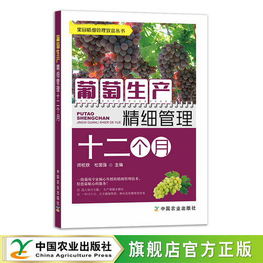 葡萄生产精细管理十二个月【官方正版，可开发票】 商品图1