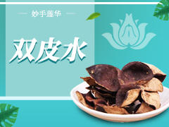 1、双皮水