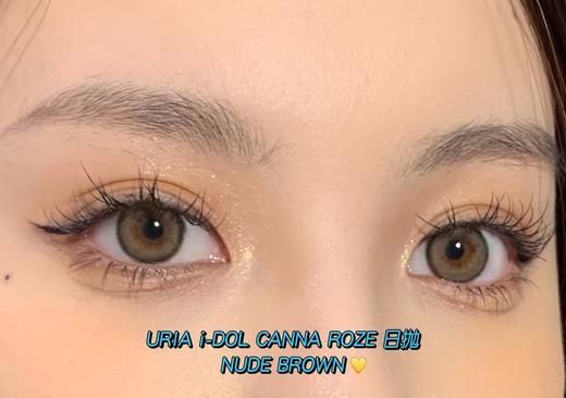 韩国正版idol旗下日抛·beige蜂蜜棕10p/盒 商品图8