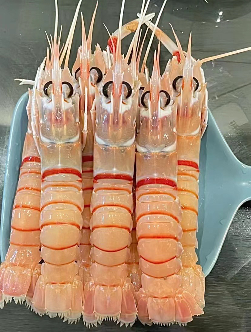 新西兰进口深海鳌虾2kg盒3盒箱nzscampipackedandfrozenatsea2kgbox3