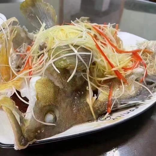 野生海钓石斑鱼 （东山岛）| 合作生产 * Wild Garoupar | Coproduction 商品图7