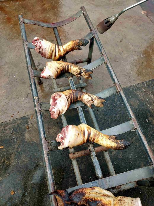 跑山黑猪，猪脚，2只2.5斤，洗干净切成小块 商品图1