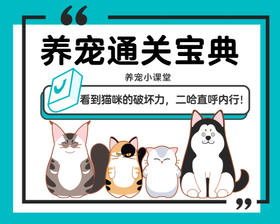 看到猫咪的破坏力，二哈直呼内行！