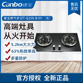 康宝（Canbo）燃气灶 嵌入式家用煤气灶 双灶 天然气液化气 台嵌两用灶台 钢化玻璃康宝燃气炉JZT-Q250-B101（天）