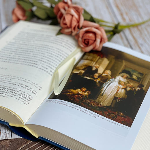 家庭生活秘史：公众、私人与知识的分类 英国家庭变迁史 商品图4