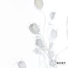 永生花材 | 黑种草果白色 商品缩略图4