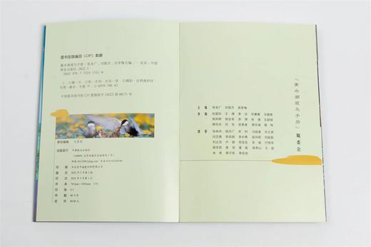 衡水湖观鸟手册(精) 张余广//刘振杰//吴军梅 1531 中国林业出版社 商品图7