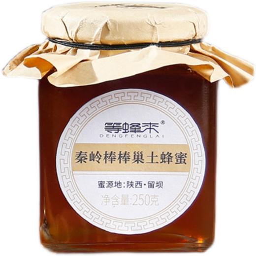 等蜂来秦岭留坝棒棒土蜂蜜，野生成熟土蜂蜜  【G】 商品图0
