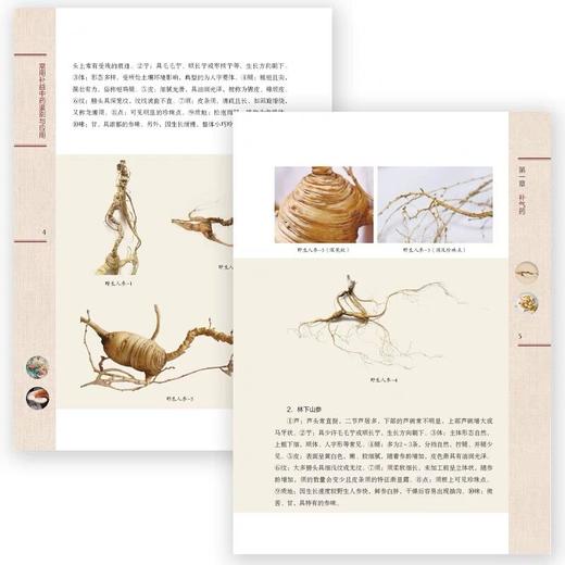 常用补益中药鉴别与应用 商品图2