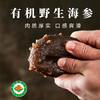 【厂商直发】烟台海参东宇有机野生干海参300g/500g盒装多种规格可选包邮 商品缩略图4