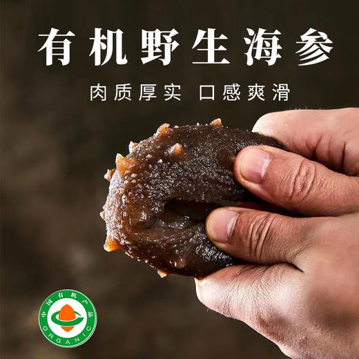 【厂商直发】烟台海参东宇有机野生干海参300g/500g盒装多种规格可选包邮 商品图4