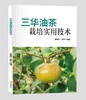三华油茶栽培实用技术 商品缩略图0