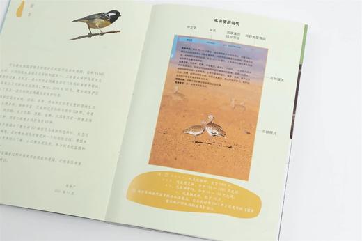 衡水湖观鸟手册(精) 张余广//刘振杰//吴军梅 1531 中国林业出版社 商品图2