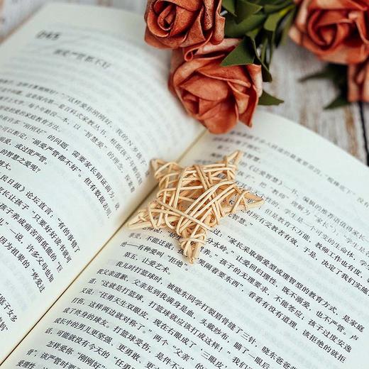 优秀父母悄悄在做的那些事儿 大夏书系 特级教师任勇 家庭教育 商品图5