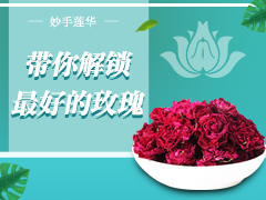 带你解锁最好的玫瑰 商品图0