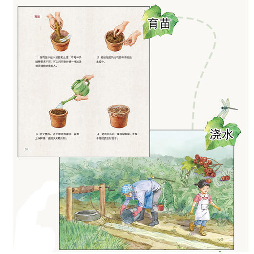 外婆的魔法菜园 商品图3