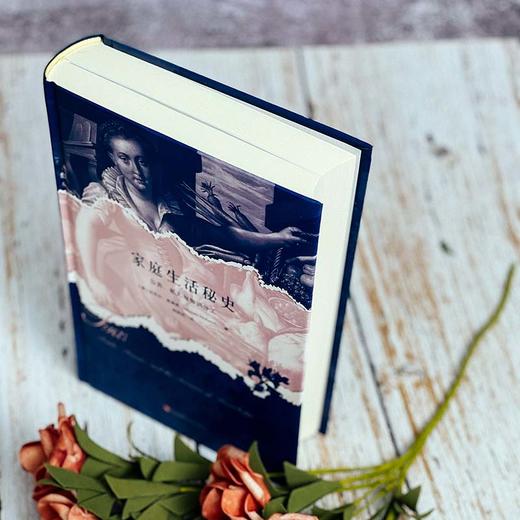 家庭生活秘史：公众、私人与知识的分类 英国家庭变迁史 商品图2