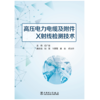 高压电力电缆及附件X射线检测技术 商品缩略图1