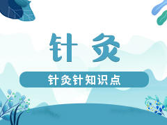 史上最全的针灸针知识点 商品图0