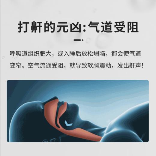 【第2瓶立减20】德国原装进囗Slienus 鼾声终结者 商品图2