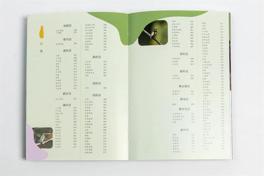 衡水湖观鸟手册(精) 张余广//刘振杰//吴军梅 1531 中国林业出版社 商品图9