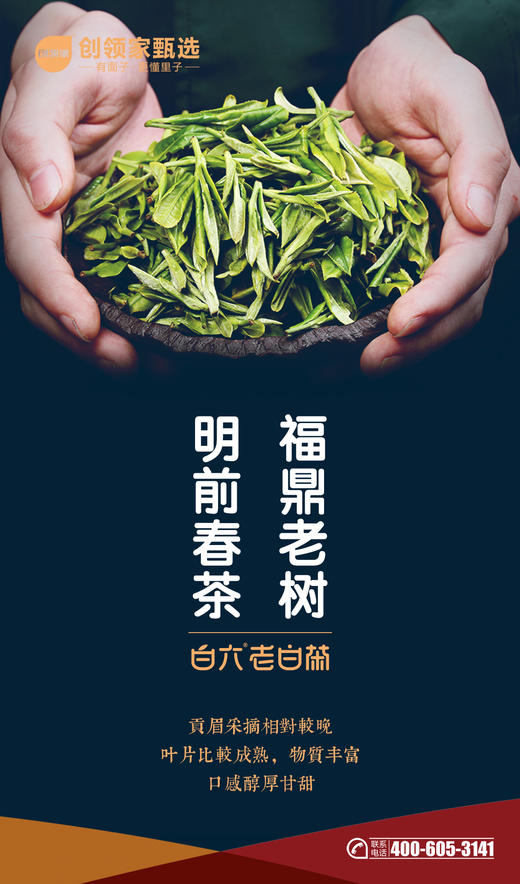 白六老白茶·贡眉（2015年） 商品图2
