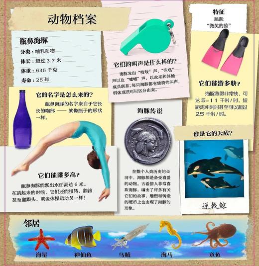 《翻开海洋动物（精）》潜入深深的海洋，与世界上不可思议的海洋生物面对面！大幅折页再现令人惊叹的海洋生物！ 商品图1