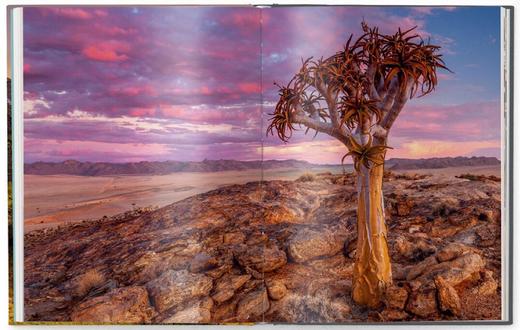 【现货】Stefan Forster：Chasing Light | 追逐太阳 风景摄影集 商品图3