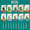 小学生名家文学读本 全套10册 商品缩略图2