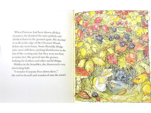 A Year in Brambly Hedge 野蔷薇村的故事 限量-四十周年纪念版 原版进口绘本 英语启蒙 商品图4