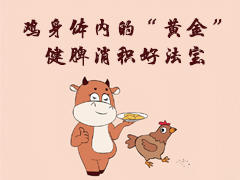 鸡身体内的“黄金”健脾消积好法 商品图0