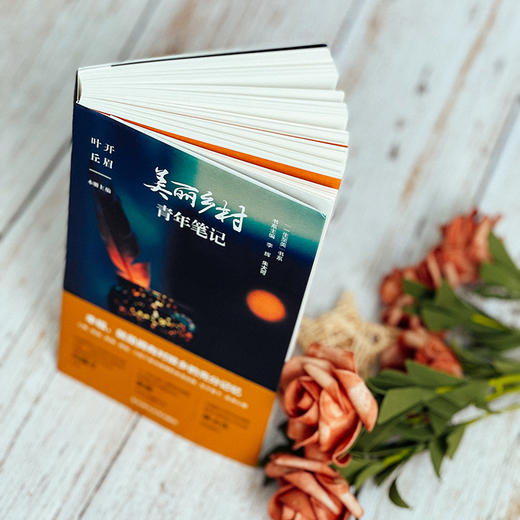 美丽乡村青年笔记 叶开 丘眉 乡土文化 乡愁 散文随笔 商品图1