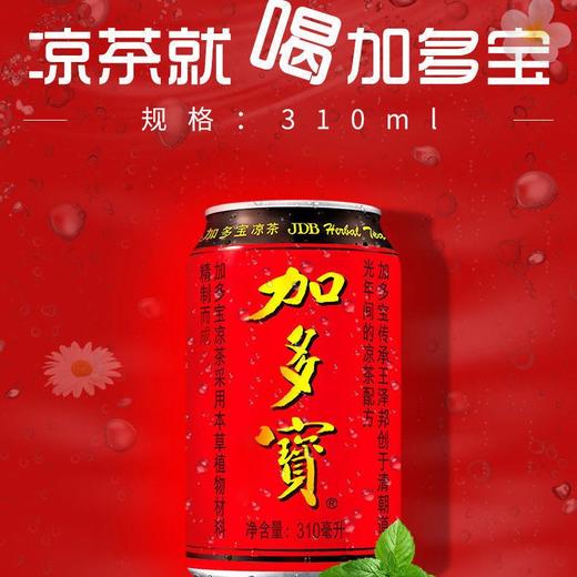 加多宝凉茶罐装310ml 商品图2