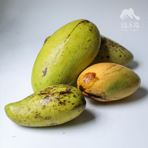 生态芒果（成熟度较高，只发广东） | 绿家自产*Eco-mango | Self-production 商品图5