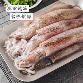 福建东山岛小管鱿鱼 ｜ 风物上新