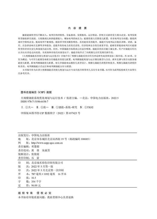 大规模储能系统优化规划与运行技术 商品图3