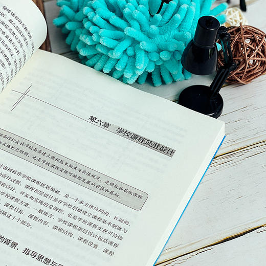 课程的超越 学校课程系统设计 王凯 大夏书系 特色课程建设 商品图3