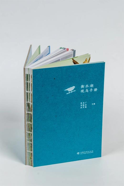 衡水湖观鸟手册(精) 张余广//刘振杰//吴军梅 1531 中国林业出版社 商品图1