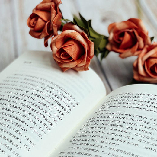 北怒庄园  简·奥斯汀全集 哥特爱情小说 诺桑觉寺 独角兽文库 典雅精装 外国文学 商品图4