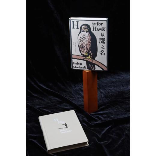 以鹰之名 商品图2