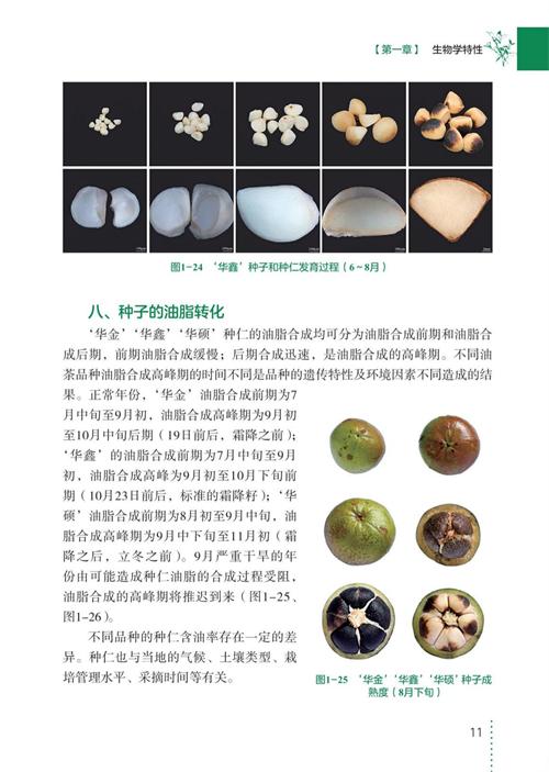 三华油茶栽培实用技术 商品图5