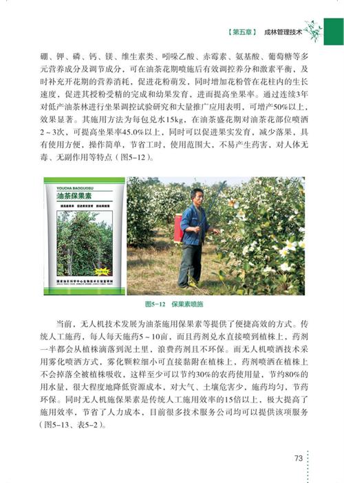 三华油茶栽培实用技术 商品图10