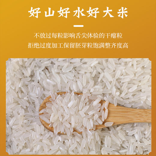 恩施黄四姐米5kg/袋 商品图3