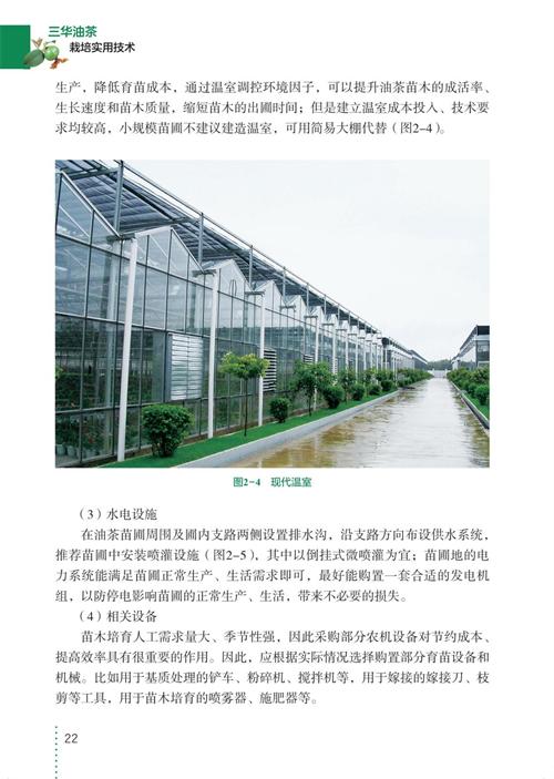 三华油茶栽培实用技术 商品图6