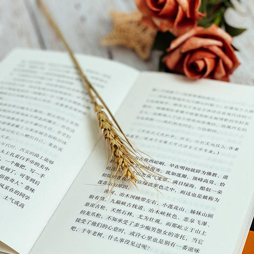 美丽乡村青年笔记 叶开 丘眉 乡土文化 乡愁 散文随笔 商品图4