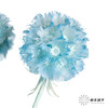 永生花材 | 风车果水洗蓝 商品缩略图1