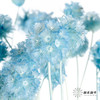 永生花材 | 风车果水洗蓝 商品缩略图0