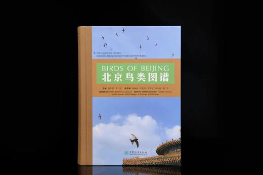 【2022年首都科普好书】北京鸟类图谱1384 商品图3