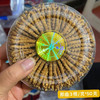 【下单任何规格虫草送野生羊肚菌50克体验装】那曲冬虫夏草 藏地干货 商品缩略图1